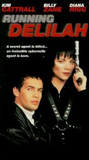 Специальный агент Дилайла (1993)